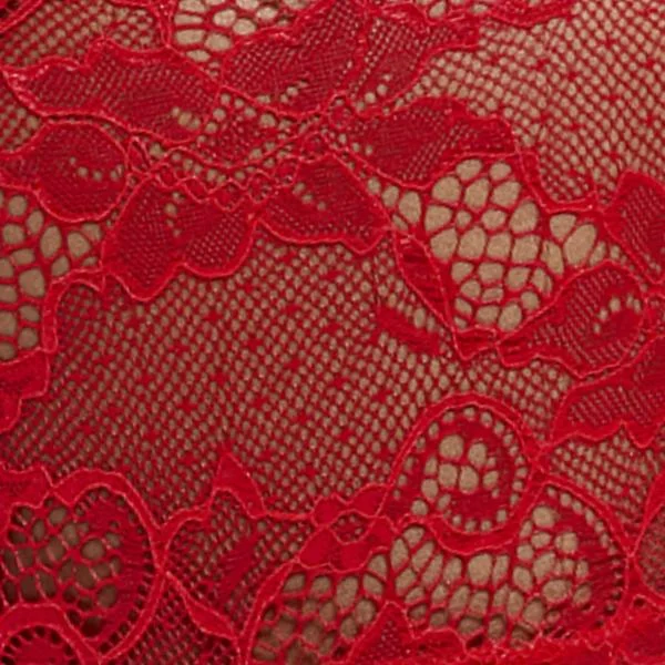 Special Discount Aria Double Strap Lace Bodysuit