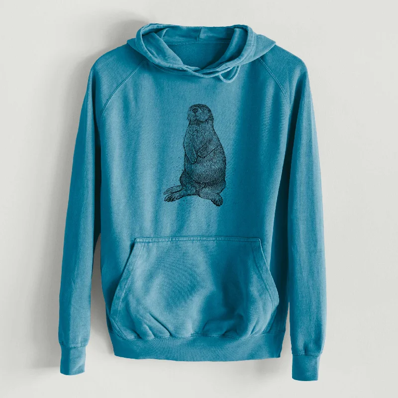 Enhydra lutris - California Sea Otter  - Mid-Weight Unisex Vintage 100% Cotton Hoodie